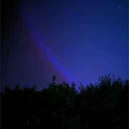Purple and blue night sky with trees on bottom